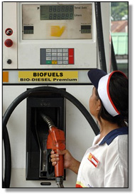 biofuels pump