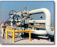 petroleum reserve control valve