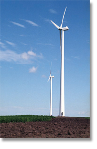 wind turbine corn field