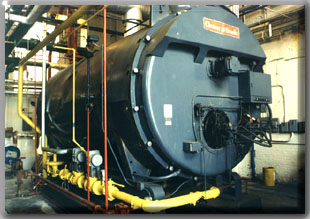 Steam plant boiler