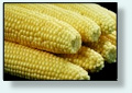 American Corn Growers Foundation