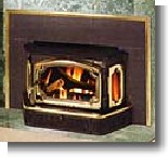 Fireplace insert