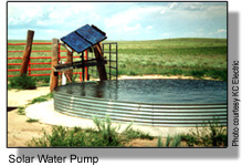 solar water pump for cattle tank