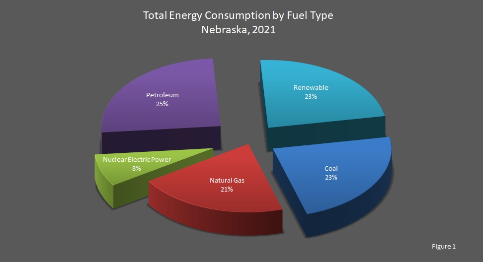 pie chart showing Energy Consumption by Fuel Type in Nebraska.