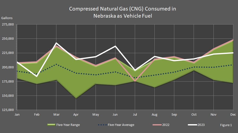 chart representing the gallons of compressed natural gas consumed as vehicle fuel in Nebraska
