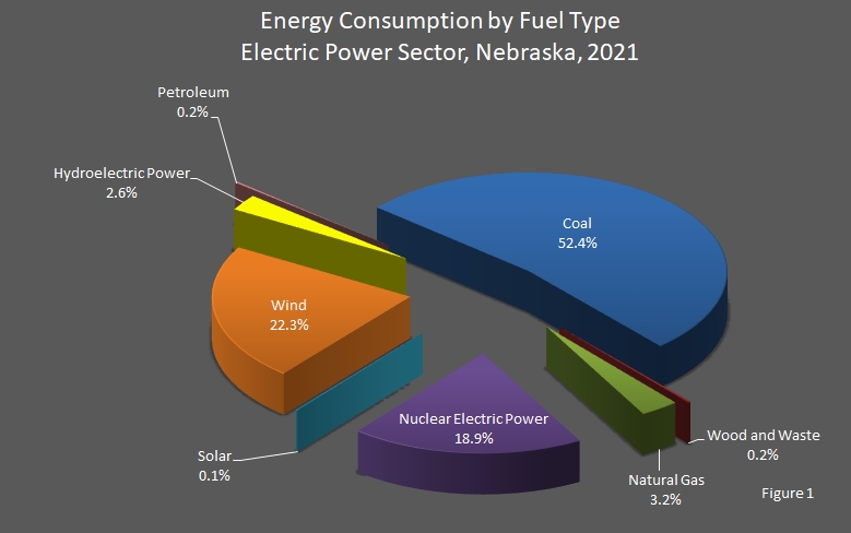 pie chart showing Energy Consumption by Fuel Type in the Electric Power Sector in Nebraska.